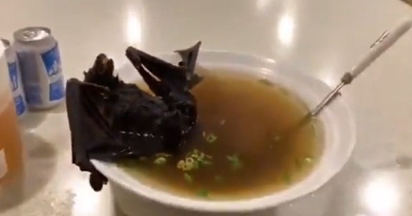 Name:  batsoup2.jpg
Views: 4320
Size:  23.3 KB