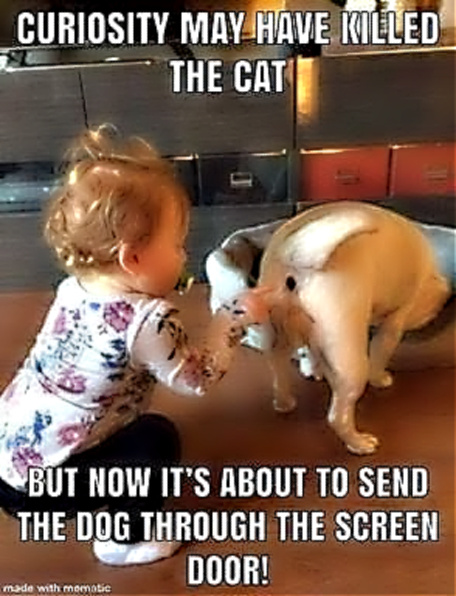 Name:  Curiosity..jpg
Views: 1661
Size:  124.8 KB