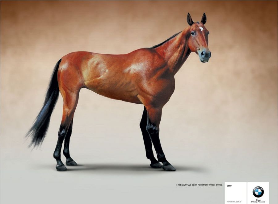 Name:  horse.jpg
Views: 5027
Size:  47.7 KB