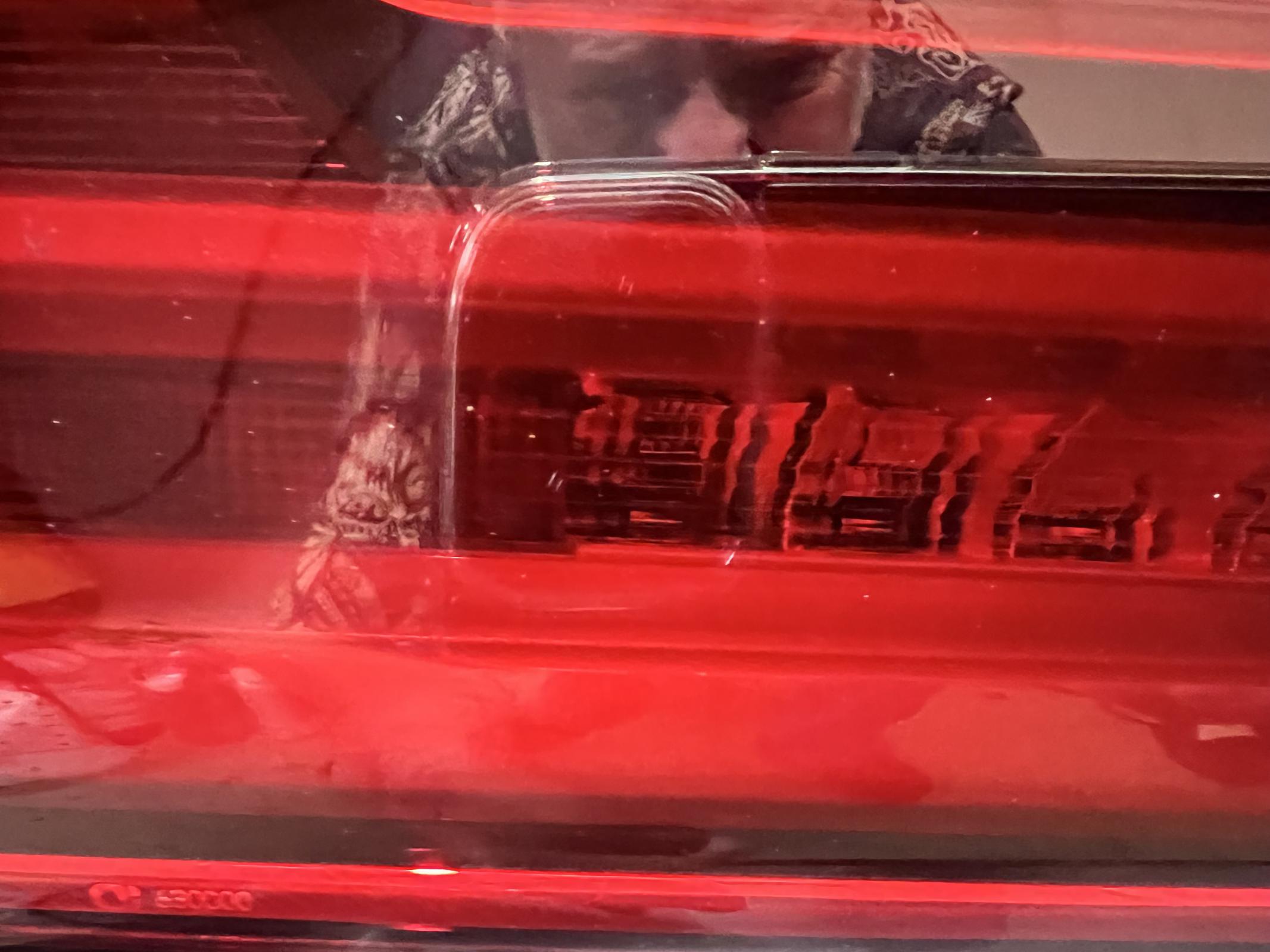 Name:  2019 tail lights.jpg
Views: 586
Size:  223.0 KB